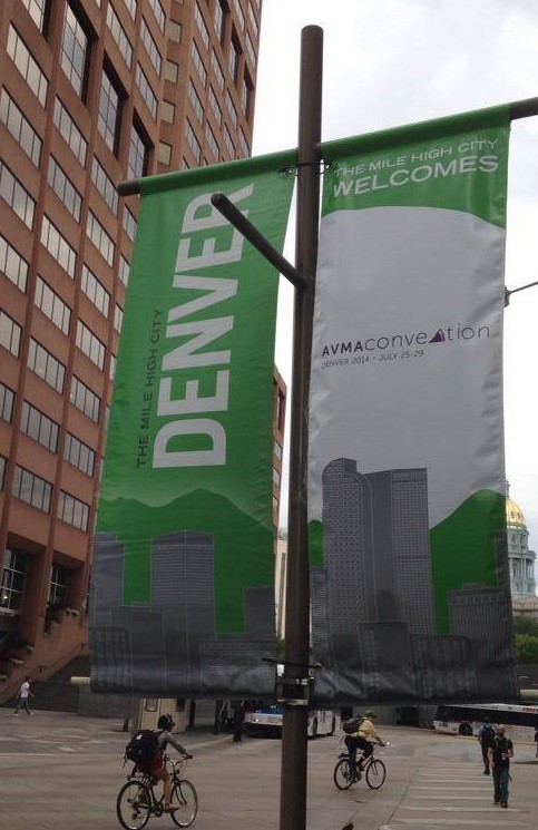 10556483_709821699089145_3073898214108185869_n