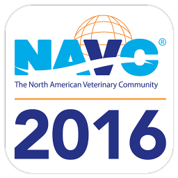 gnIcZwsFicn01j02CkR5Ho59SQl5qlmGcS0MfIC6fLpv-PfGgN3ZtIdmr5k1uFtlS1k=w300