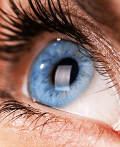 See You at Optometry’s Meeting!