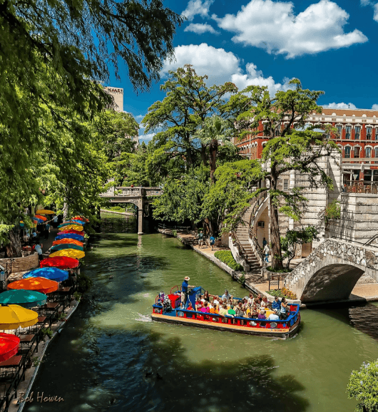 See You in San Antonio – AVMA 2016