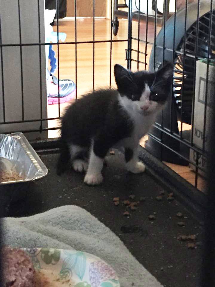 The Value of a Powerful Social Media Solution