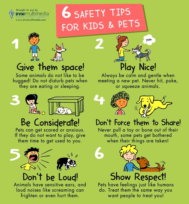 DVM-PetKidsSafetyTips-750px