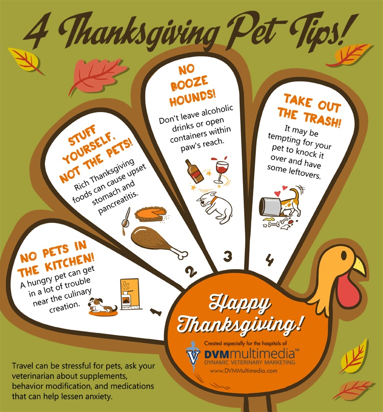 DVMThanksgiving-750×808-1