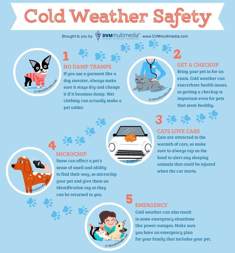 cold-weather-safety