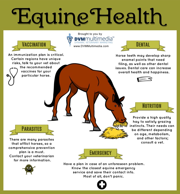 equine-health