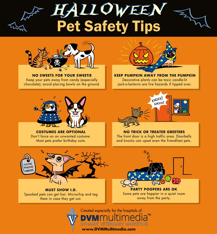 halloween-safety-tips