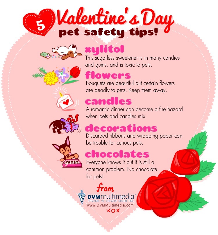valentines-safety-tips