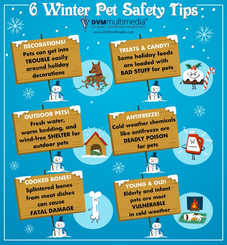 winter-safety-tips