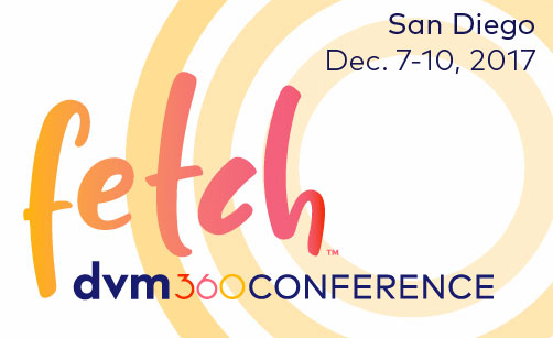 It’s Time for Fetch San Diego!