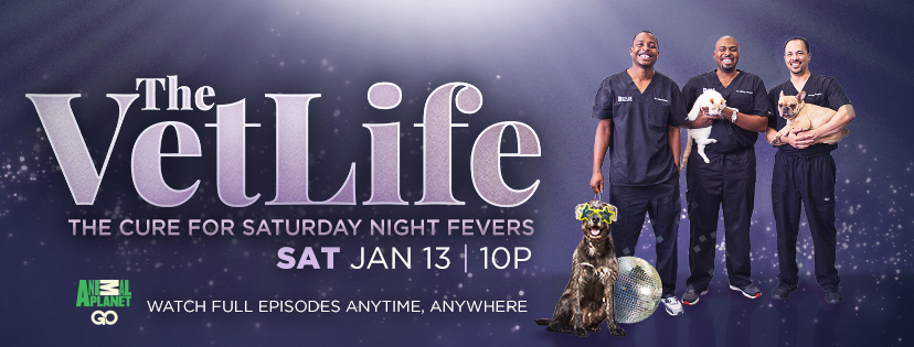 25659319_2451103255115053_1695440991084723615_n