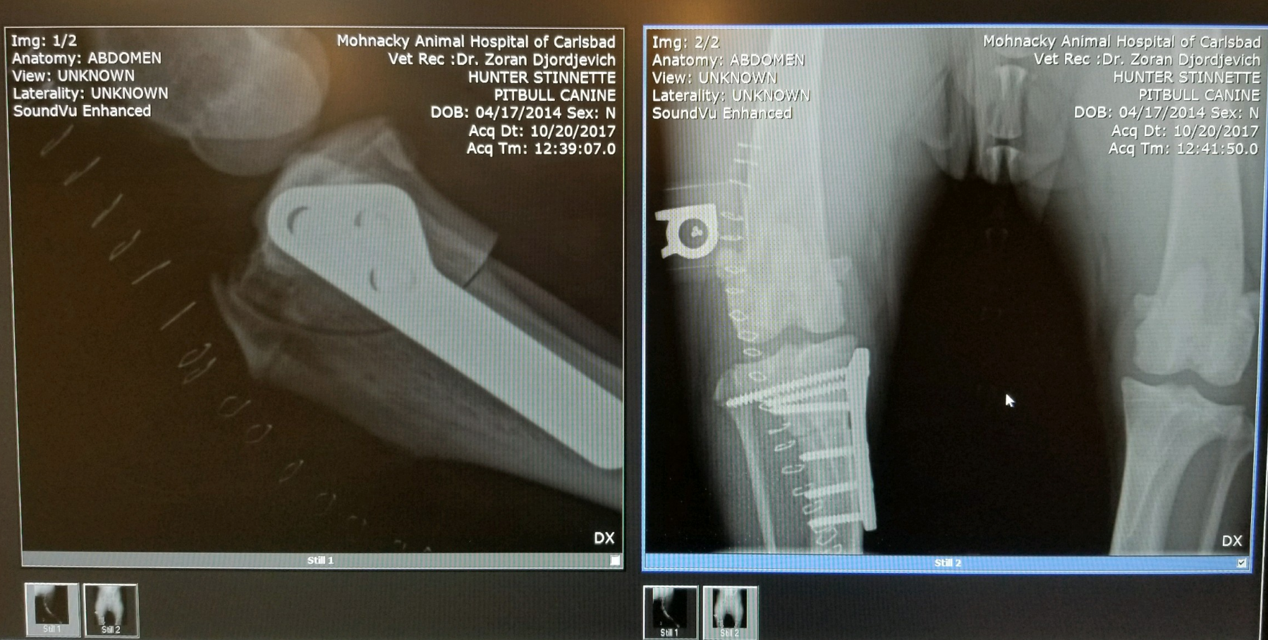 Screen Shot 2018-01-16 at 1.01.23 PM