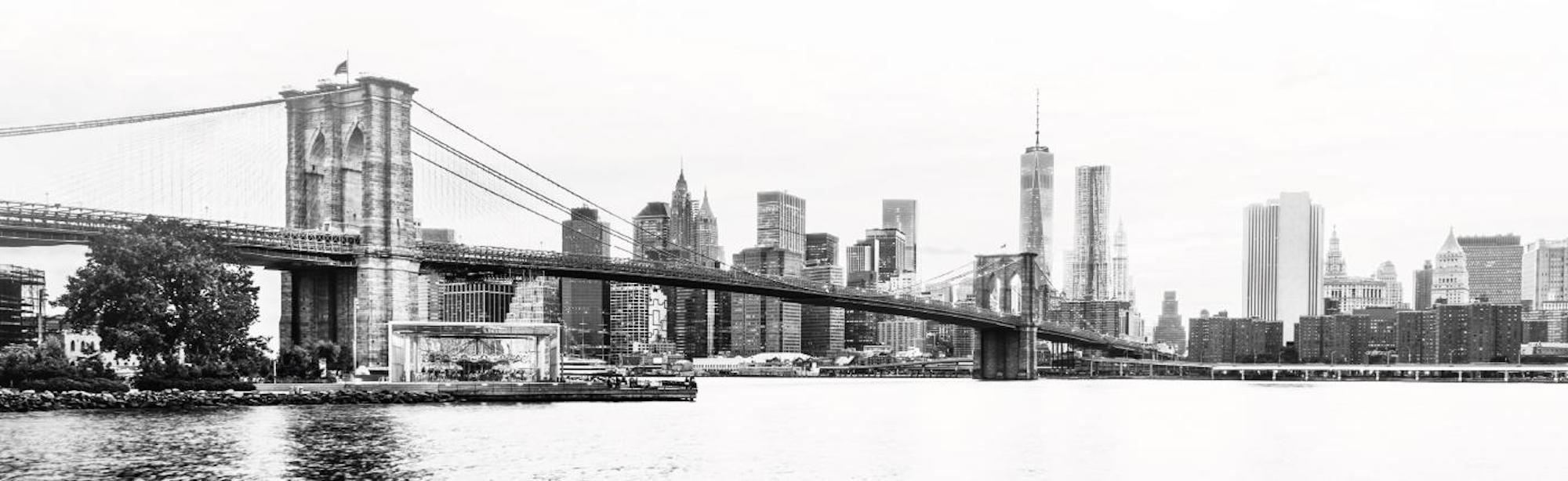 Are You Ready For New York Vet?