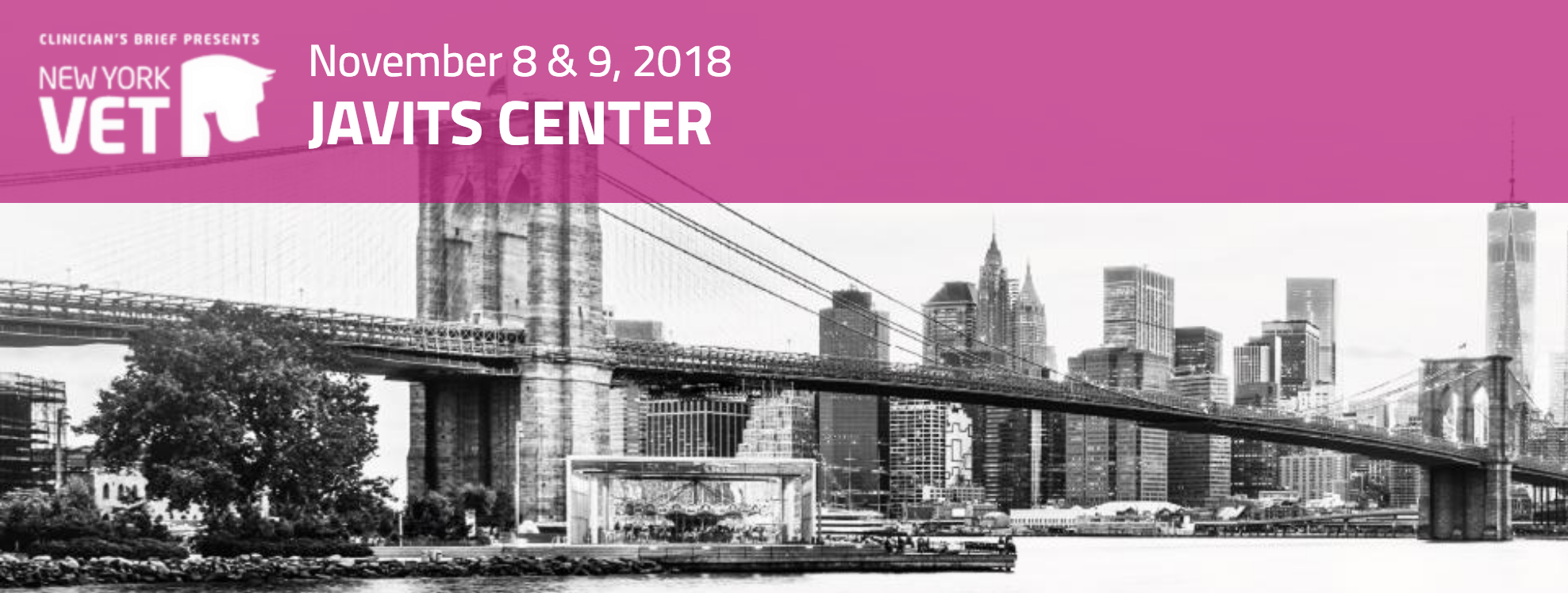 Screen Shot 2018-10-29 at 2.45.29 AM