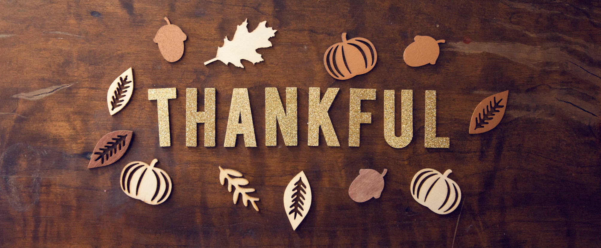 Happy Thanksgiving from Doctor Multimedia!