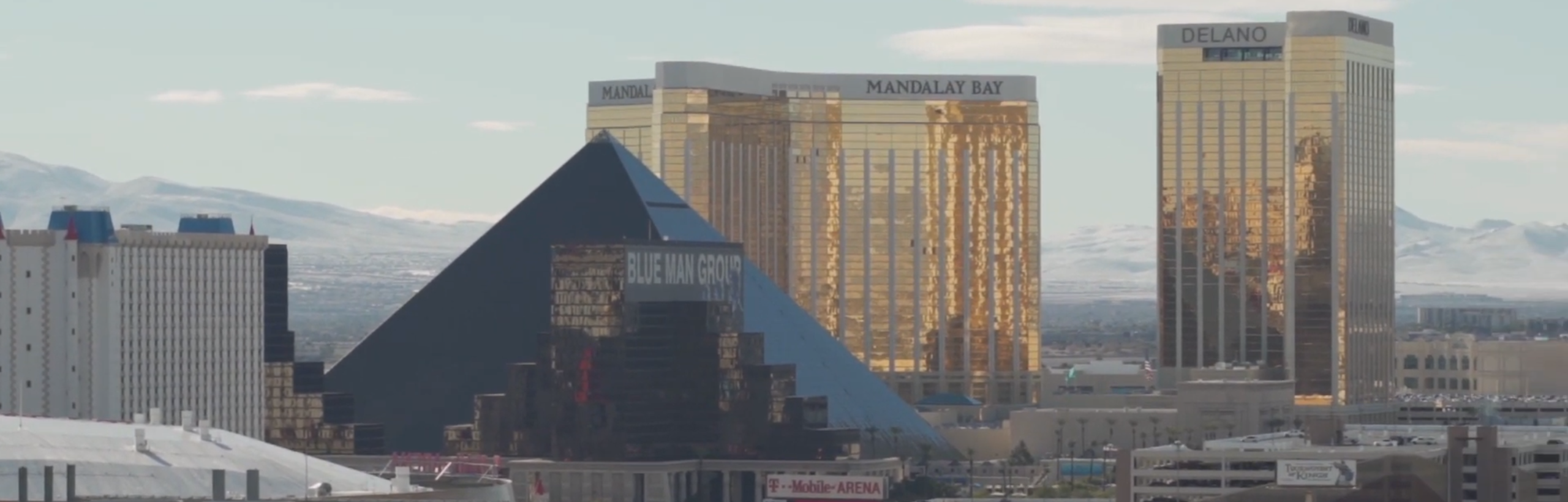 Doctor Multimedia at WVC 2019